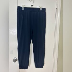Banana Republic dark blue pants Size L
